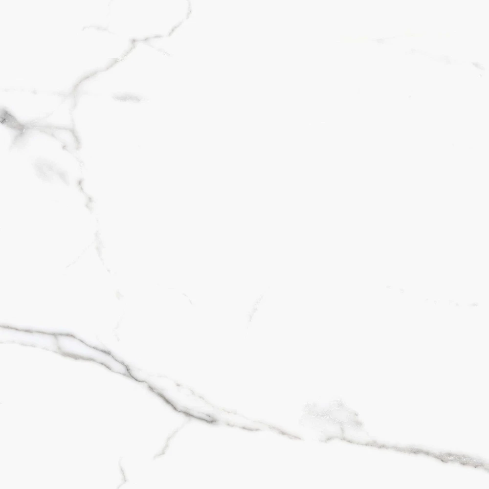 Керамогранит Primavera Salvatore Polished 60x60 см (PR107)